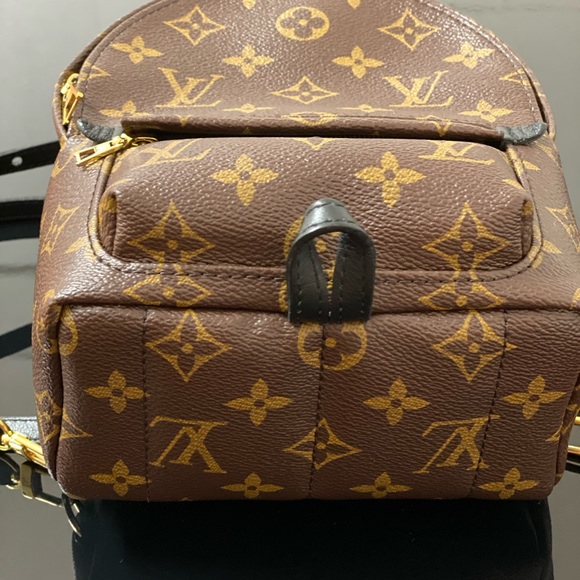 Louis Vuitton Mini Palm Springs - Picture 4 of 5